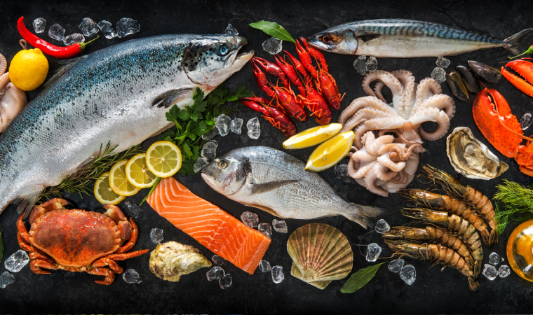 浙江水產(chǎn)品暢銷全球 已出口至130多個(gè)國家和地區(qū)