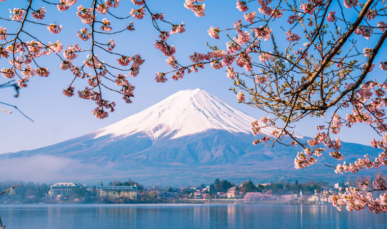 日本第二次削減RCEP項(xiàng)下進(jìn)口關(guān)稅(圖1)