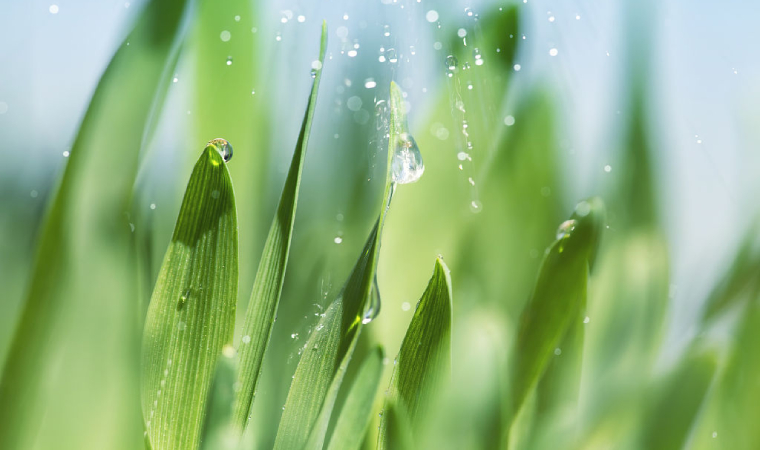 【湖南外貿(mào)出口】&ldquo;湖南+&rdquo;科特迪瓦項目簽約 中非經(jīng)貿(mào)合作提供新樣板