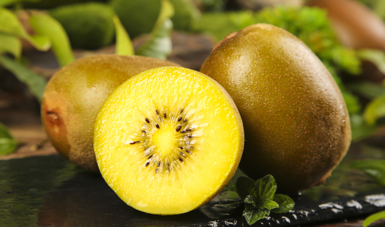 首批中國產(chǎn)獼猴桃正式亮相智利市場