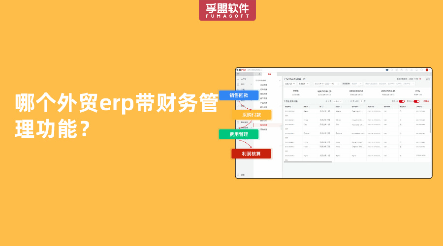 哪個外貿erp帶財務管理功能？