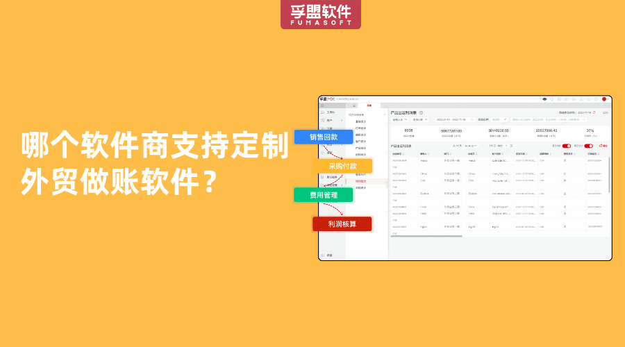 哪個軟件商支持定制外貿做賬軟件？